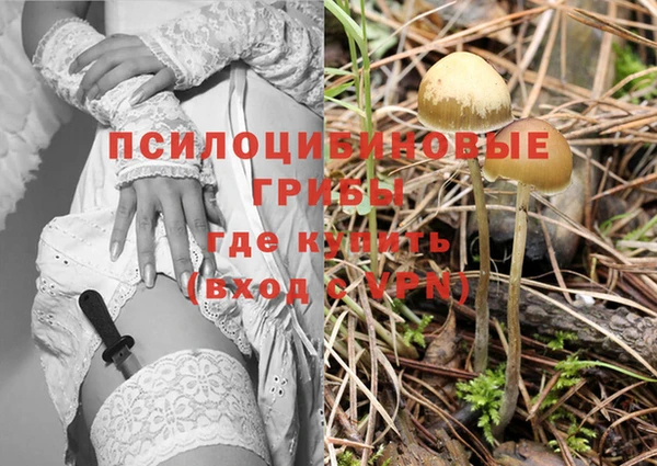 прущая мука Алзамай