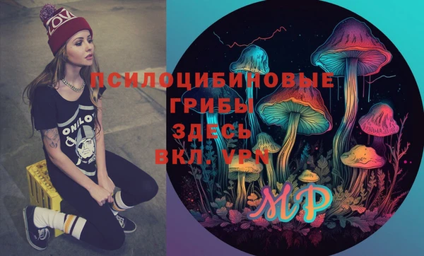 амф Алексин