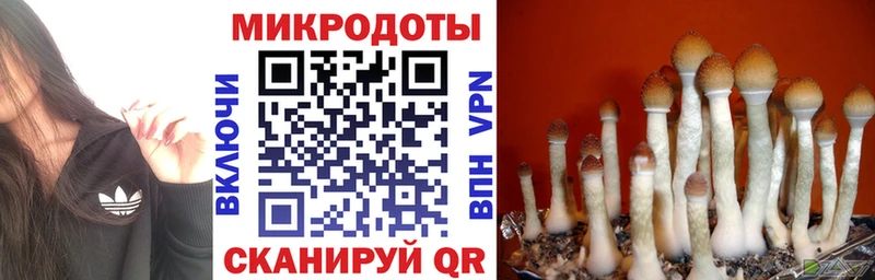 Галлюциногенные грибы прущие грибы  Чистополь 